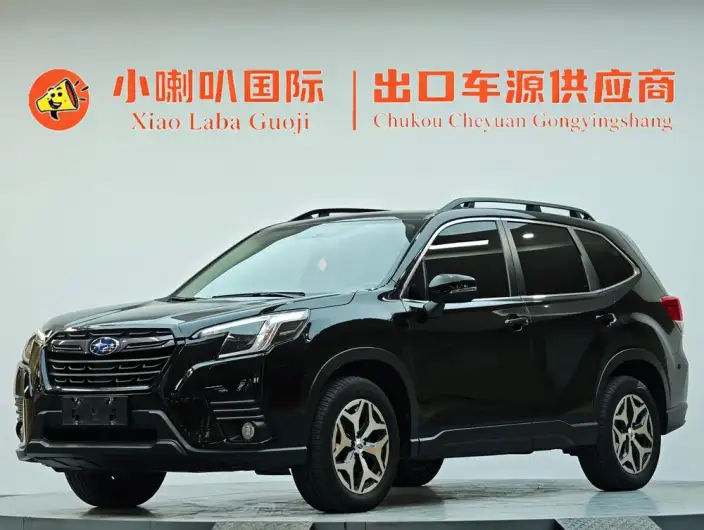 Subaru Forester 2022 Model 2.0i AWD Deluxe Edition – фото 10