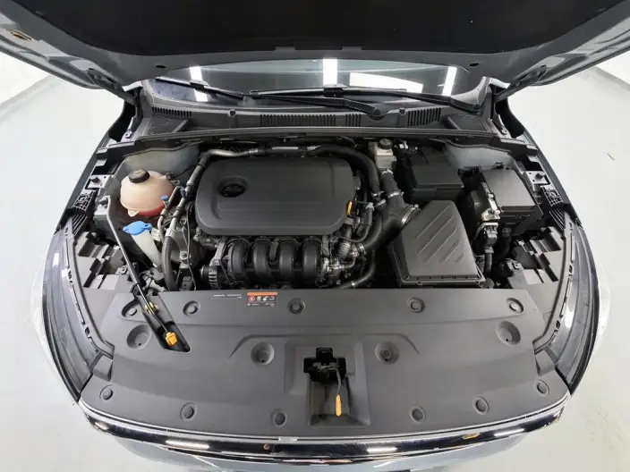 Geely Emgrand 2023 Model No. 4 Gen Champion Edition 1.5L CVT Noble Model – фото 10
