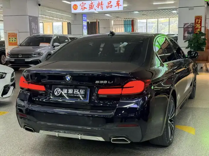 BMW 5 Series 2023 Model 530Li Leading Model M Sports Set – фото 6