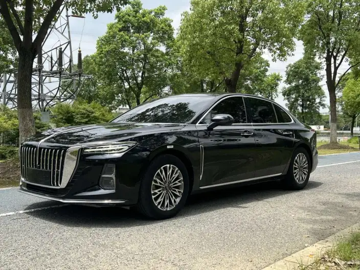 Hongqi H5 2023 Model 2.0T Automatic Flag Lead Edition – фото 1