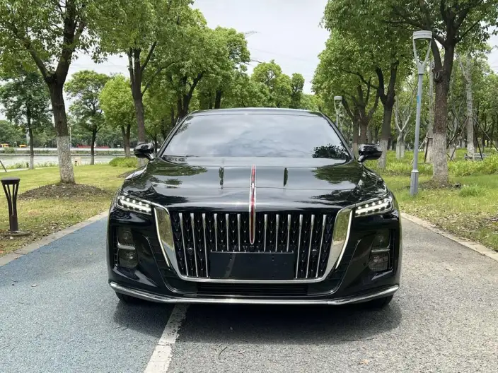 Hongqi H5 2023 Model 2.0T Automatic Flag Lead Edition – фото 2