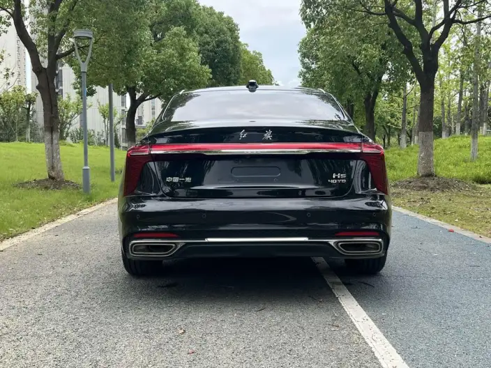 Hongqi H5 2023 Model 2.0T Automatic Flag Lead Edition – фото 6