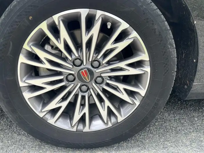 Hongqi H5 2023 Model 2.0T Automatic Flag Lead Edition – фото 8