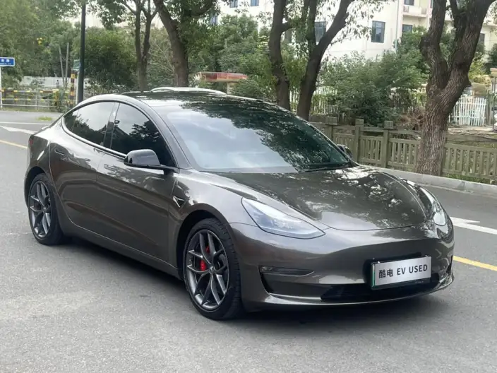 Model 3 2022 Model Performance High performance All-wheel drive version – фото 3