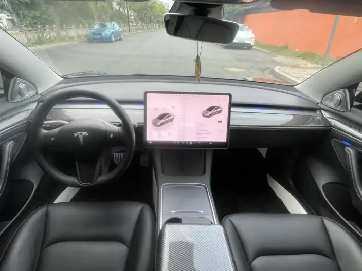 Model 3 2022 Model Performance High performance All-wheel drive version – фото 7