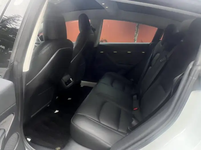 Model 3 2022 Model Performance High performance All-wheel drive version – фото 9