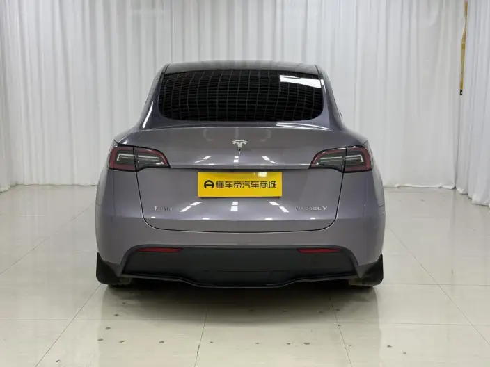 Model Y 2023 Model Rear-wheel drive version – фото 6