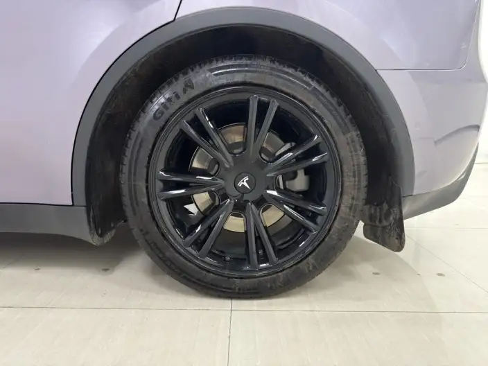 Model Y 2023 Model Rear-wheel drive version – фото 9