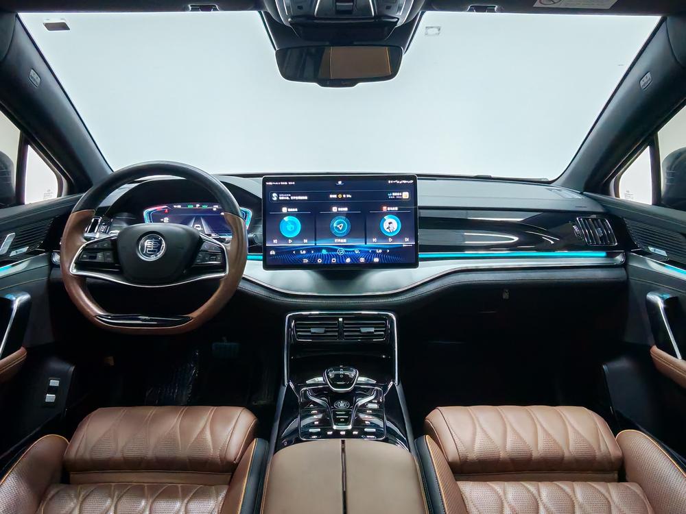 Tang DM 2021 DM 2.0T AWD High-Performance Founder's Flagship – фото 14