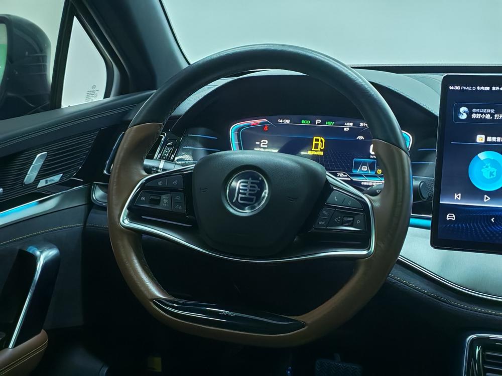 Tang DM 2021 DM 2.0T AWD High-Performance Founder's Flagship – фото 16