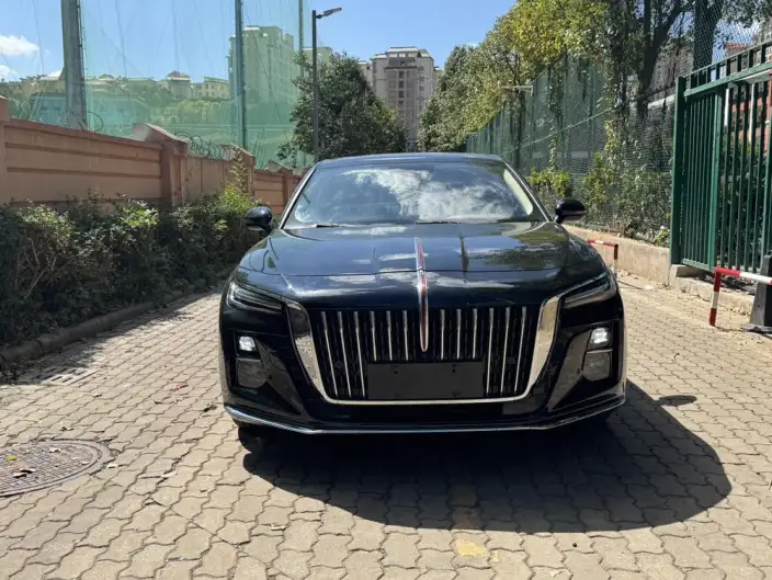 Hongqi H5 2023 Model 1.5T DCT Flag Rhythm Edition – фото 2