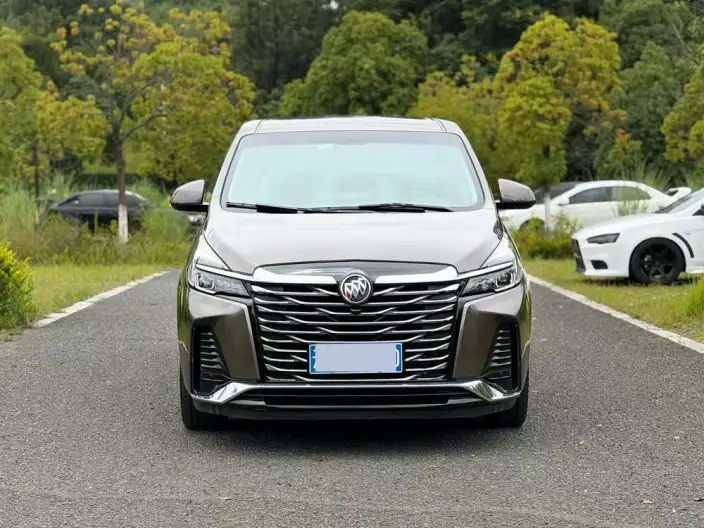 Buick GL8 2023 Model Business class 2.0T Comfort Model – фото 2