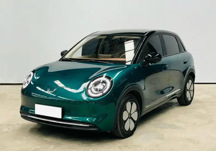 Wuling BingoPro 2026 Model 330km Exclusive Model