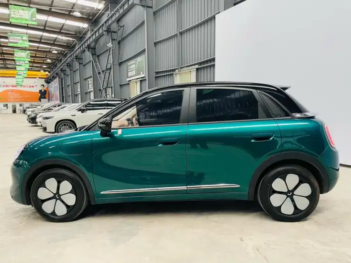 Wuling BingoPro 2026 Model 330km Exclusive Model