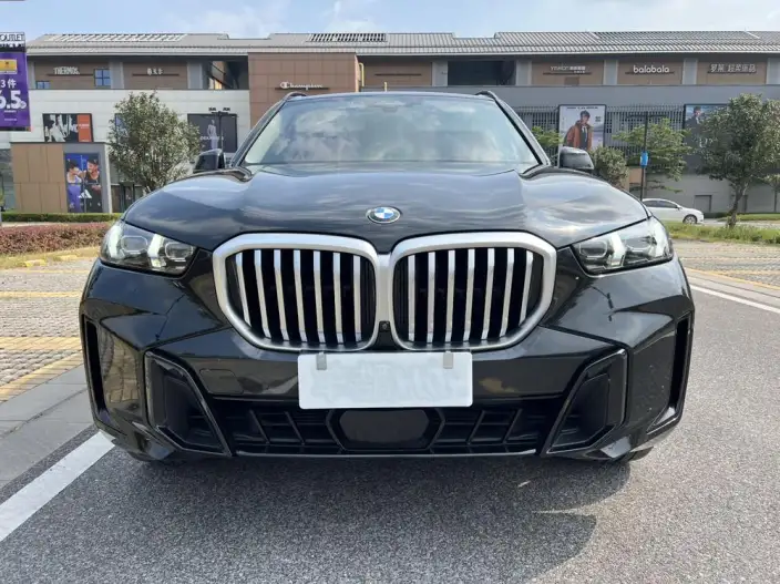 BMW X5 2023 Model xDrive30Li M Sports Set – фото 2