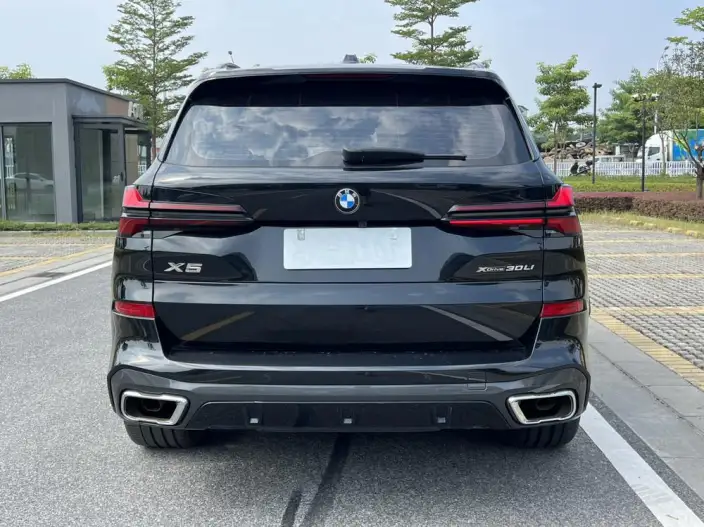 BMW X5 2023 Model xDrive30Li M Sports Set – фото 6