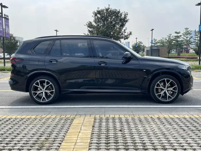 BMW X5 2023 Model xDrive30Li M Sports Set – фото 8