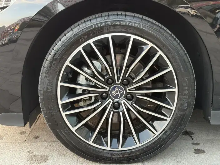 BYD Han EV 2023 Model Champion Edition 506KM Noble Model – фото 10
