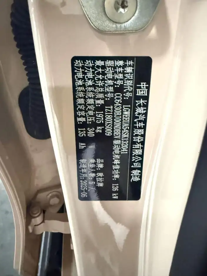 ORA Good Cat 2025 Model 430km Zunrong Model – фото 6