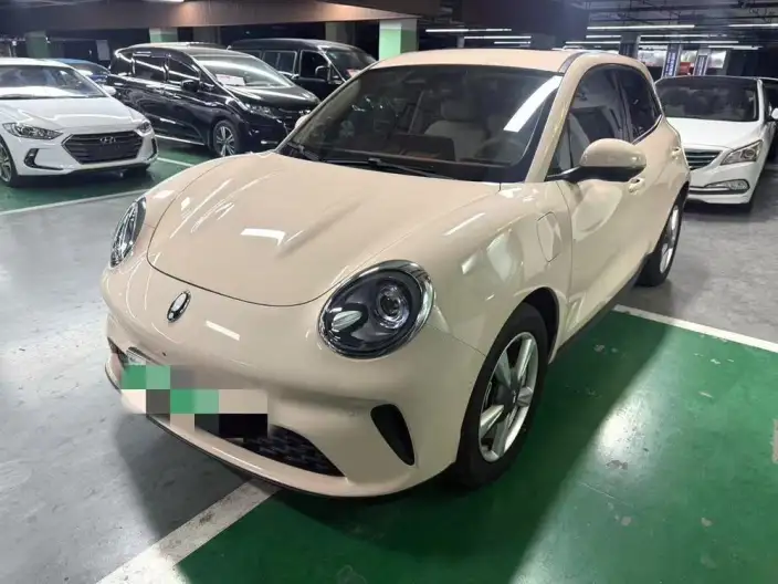ORA Good Cat 2025 Model 430km Zunrong Model – фото 10