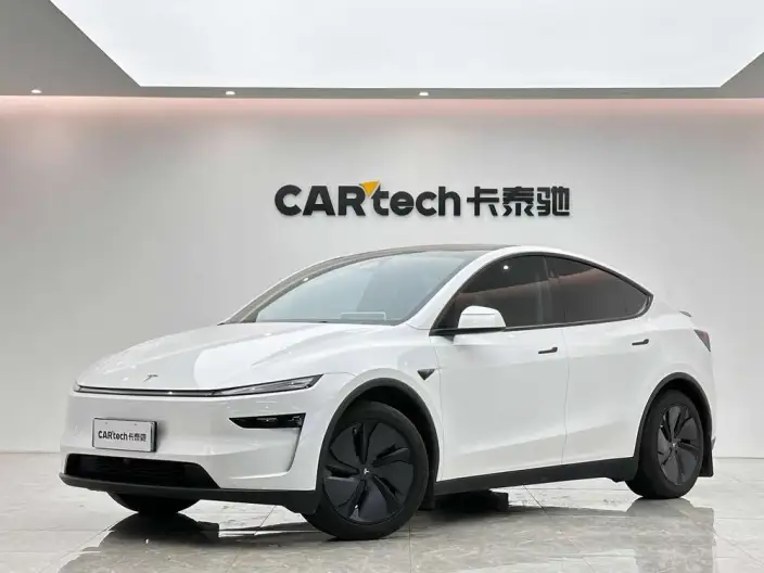 Model Y 2025 Model Rear-wheel drive version – фото 1