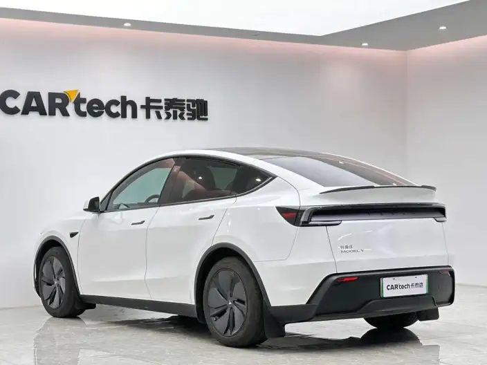 Model Y 2025 Model Rear-wheel drive version – фото 5