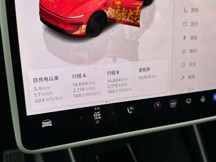 Model Y 2025 Model Rear-wheel drive version – фото 10