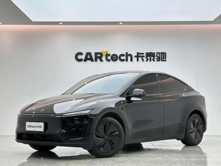 Model Y 2025 Model Facelift Long Battery Life Pro All-wheel drive version – фото 1