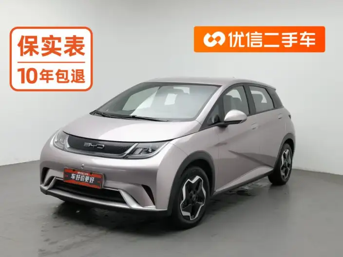 BYD Dolphin 2021 Model Free Edition – фото 1