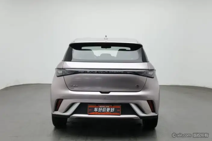 BYD Dolphin 2021 Model Free Edition – фото 3