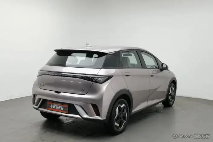 BYD Dolphin 2021 Model Free Edition – фото 4