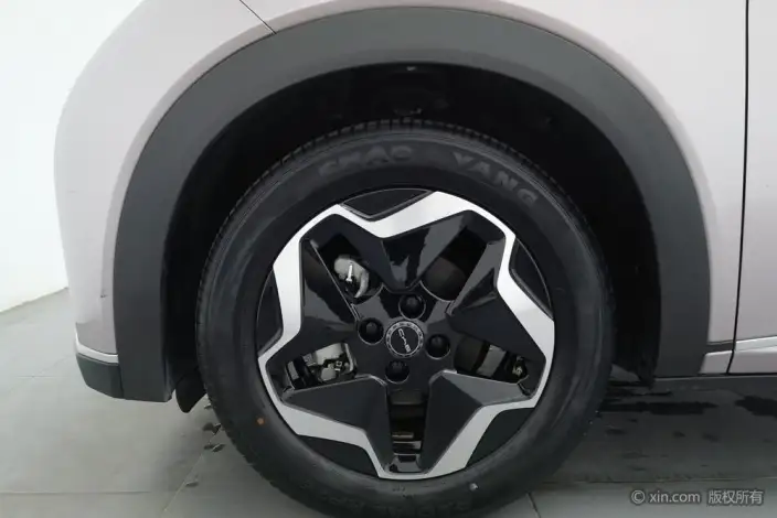 BYD Dolphin 2021 Model Free Edition – фото 8