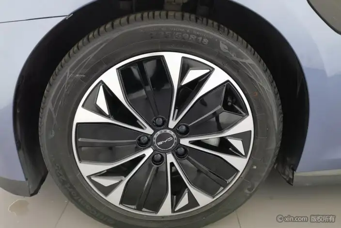 BYD Seal 2023 Model 700KM Champion Edition Noble Model – фото 9