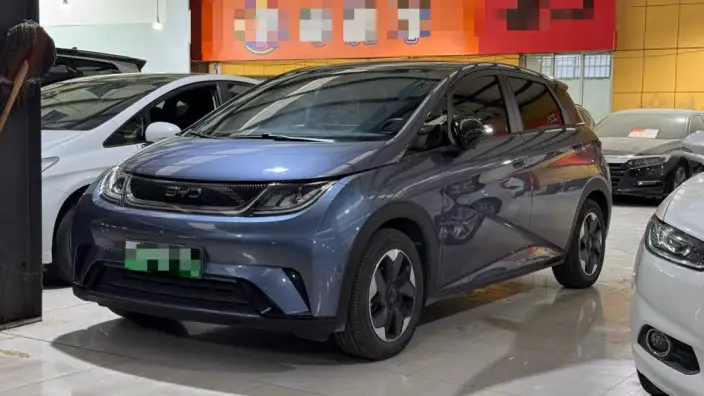 BYD Dolphin 2024 Model Honor Edition 420km Free Edition – фото 1