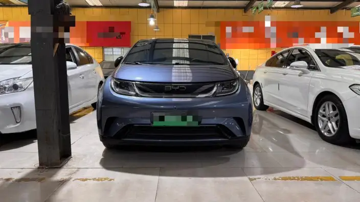 BYD Dolphin 2024 Model Honor Edition 420km Free Edition – фото 2