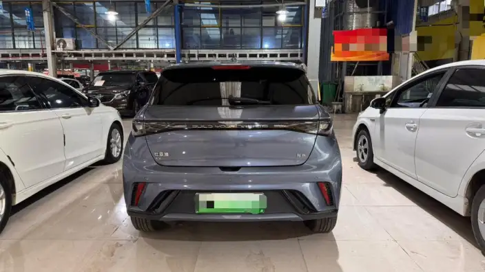 BYD Dolphin 2024 Model Honor Edition 420km Free Edition – фото 5