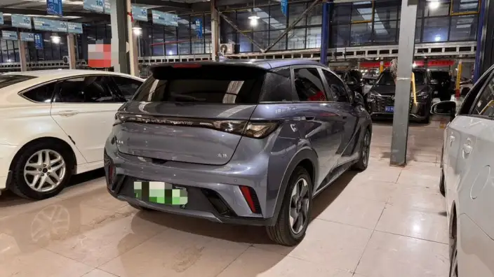 BYD Dolphin 2024 Model Honor Edition 420km Free Edition – фото 6
