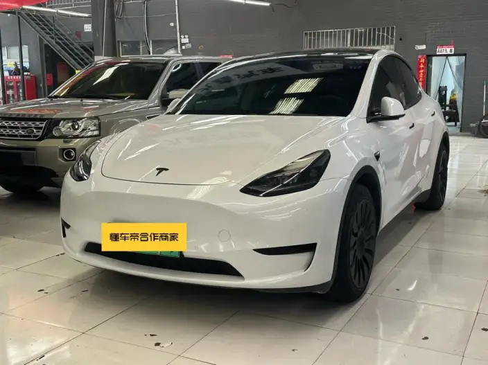 Model Y 2022 Model Rear-wheel drive version – фото 1