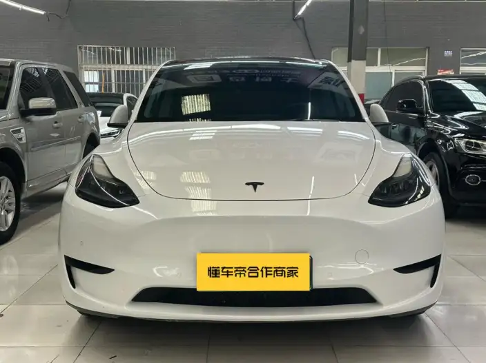 Model Y 2022 Model Rear-wheel drive version – фото 2