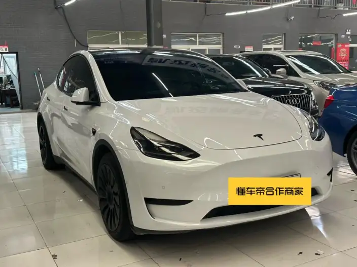 Model Y 2022 Model Rear-wheel drive version – фото 3