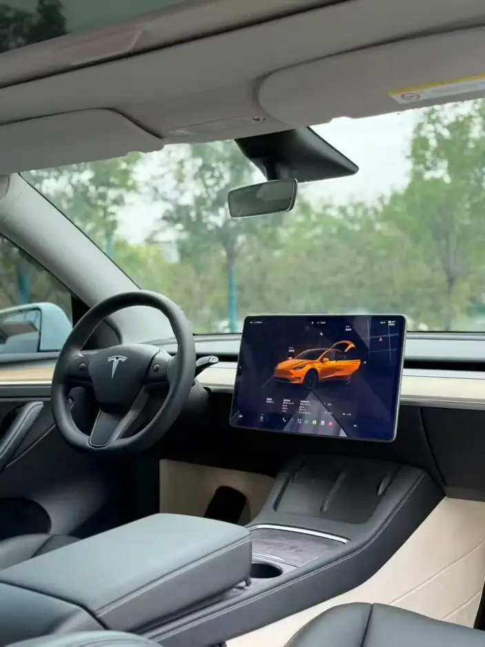 Model Y 2022 Model Rear-wheel drive version – фото 7