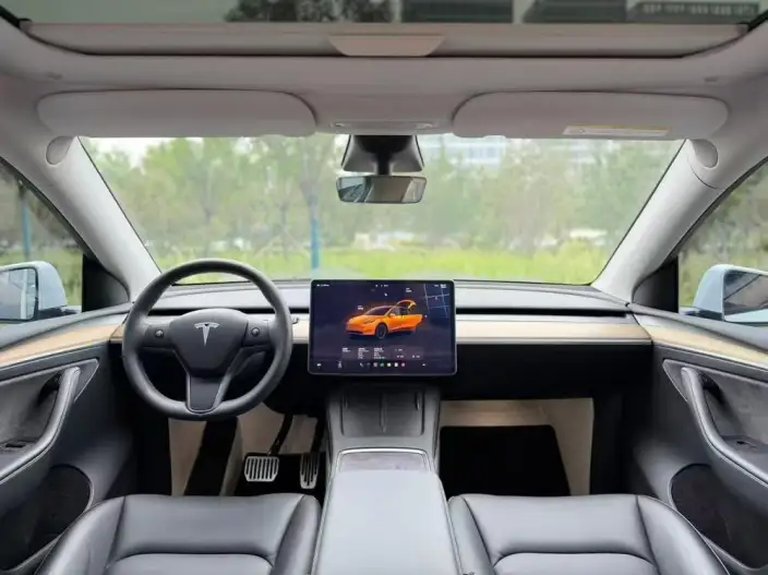 Model Y 2022 Model Rear-wheel drive version – фото 8