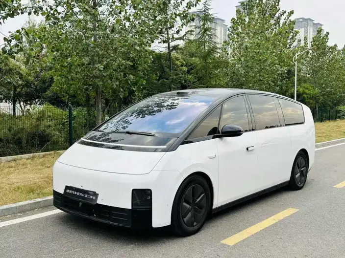 Li Auto MEGA 2025 Model Home Family Special Edition – фото 1