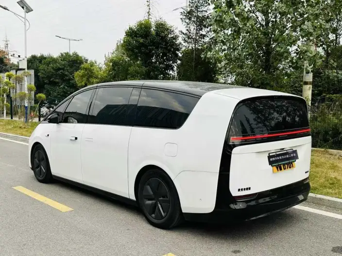 Li Auto MEGA 2025 Model Home Family Special Edition – фото 3