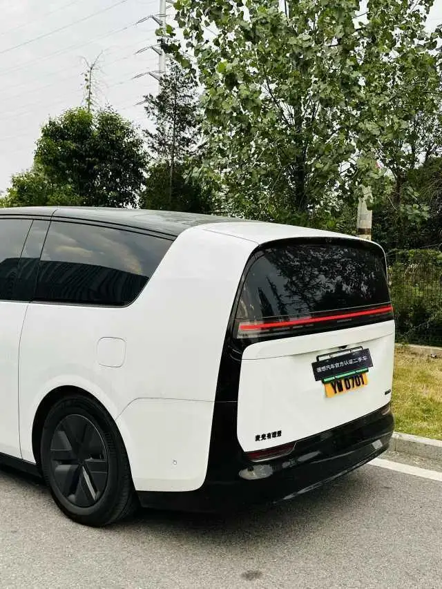 Li Auto MEGA 2025 Model Home Family Special Edition – фото 4