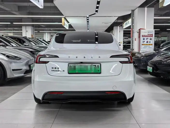 Model 3 2025 Model Facelift Rear-wheel drive version – фото 5