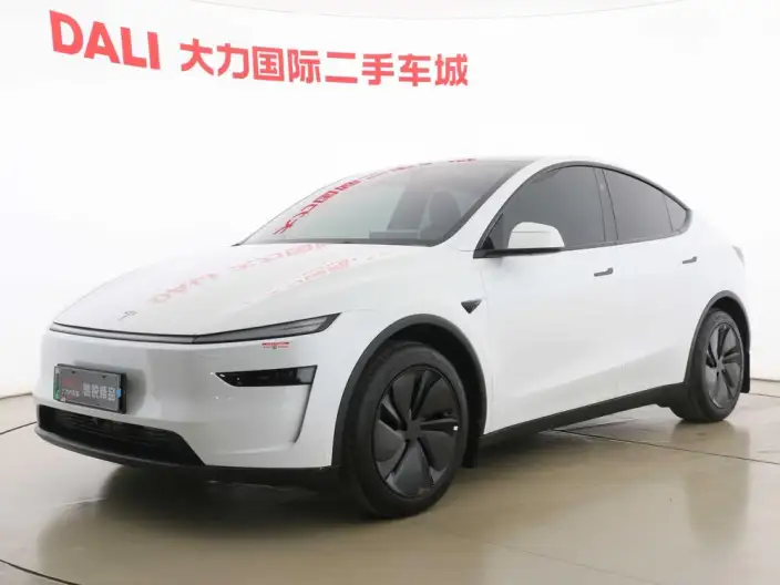 Model Y 2025 Model Rear-wheel drive version – фото 1
