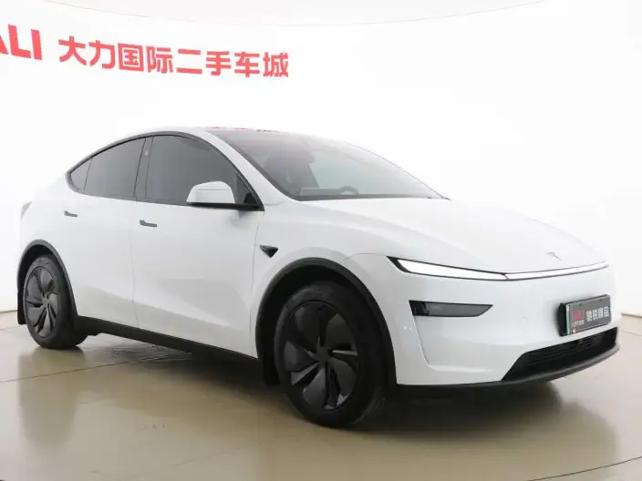 Model Y 2025 Model Rear-wheel drive version – фото 3