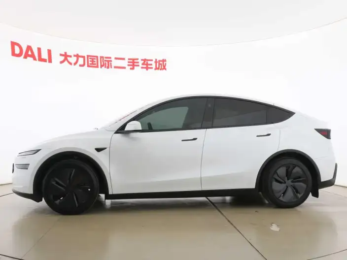 Model Y 2025 Model Rear-wheel drive version – фото 4