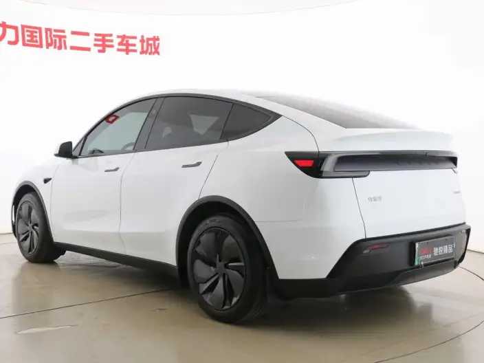 Model Y 2025 Model Rear-wheel drive version – фото 5